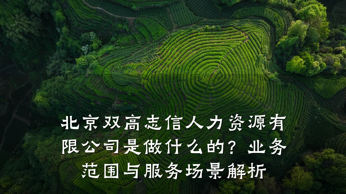 北京双高志信人力资源有限公司是做什么的?业务范围与服务场景解析