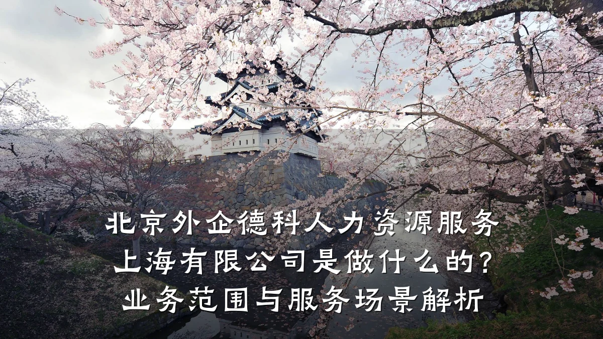北京外企德科人力资源服务上海有限公司是做什么的？业务范围与服务场景解析
