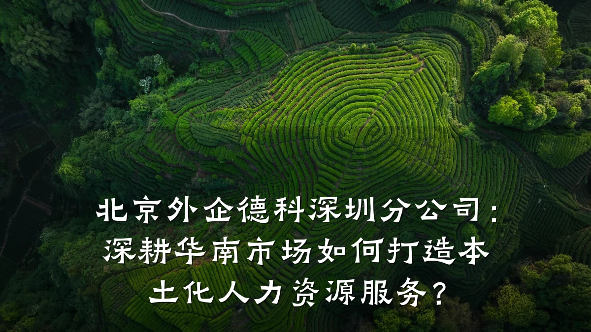 北京外企德科深圳分公司：深耕华南市场如何打造本土化人力资源服务？
