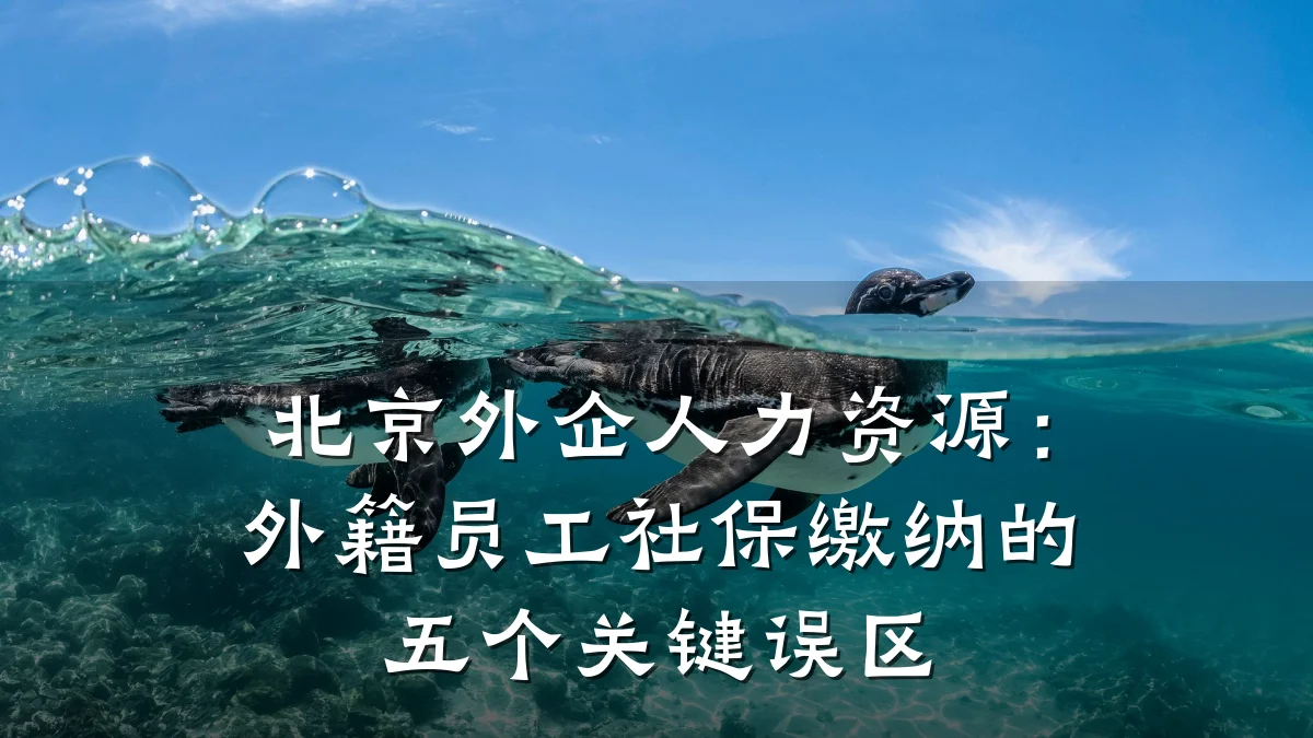 北京外企人力资源：外籍员工社保缴纳的五个关键误区