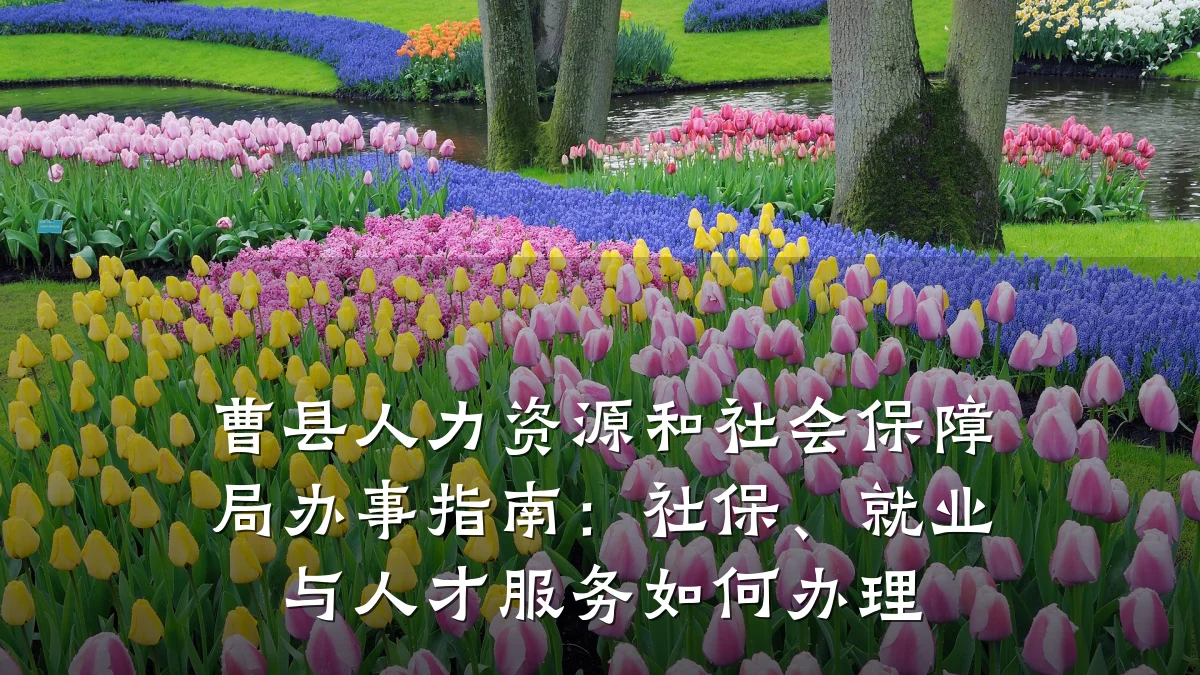 曹县人力资源和社会保障局办事指南:社保、就业与人才服务如何办理