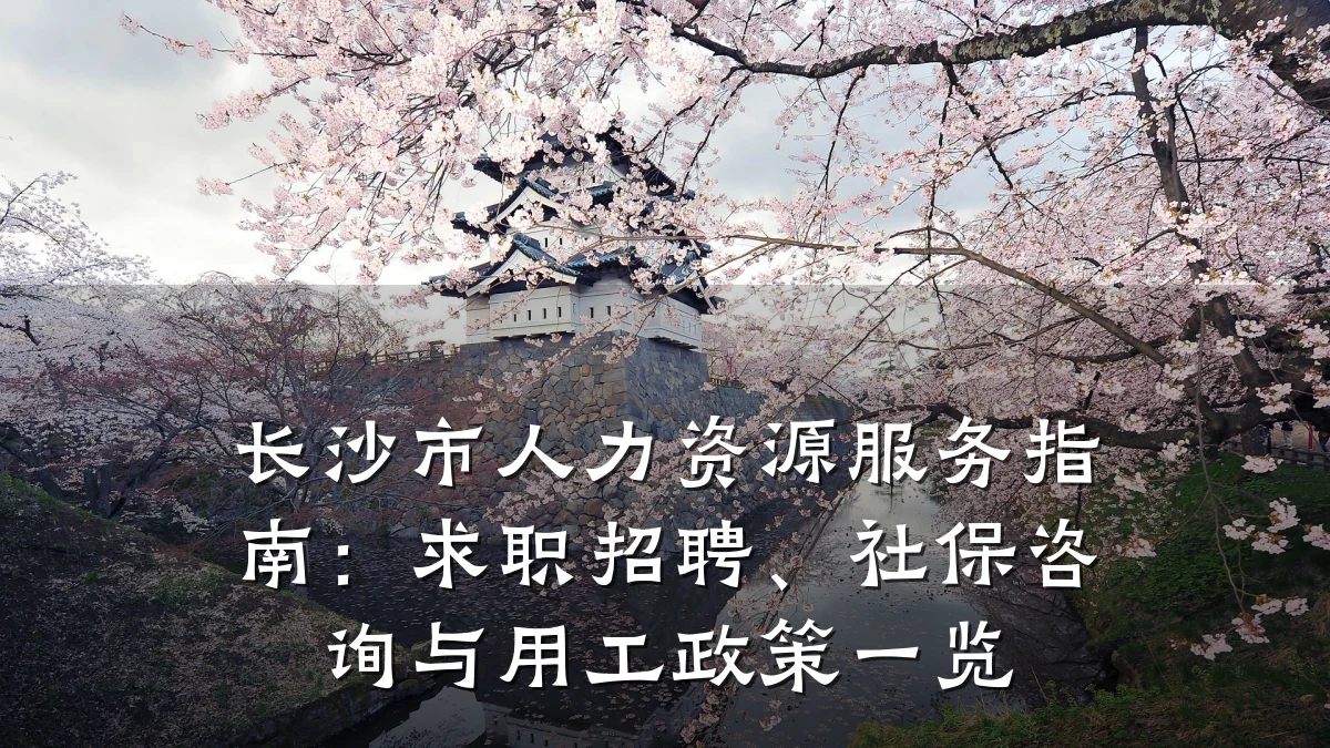 长沙市人力资源服务指南：求职招聘、社保咨询与用工政策一览