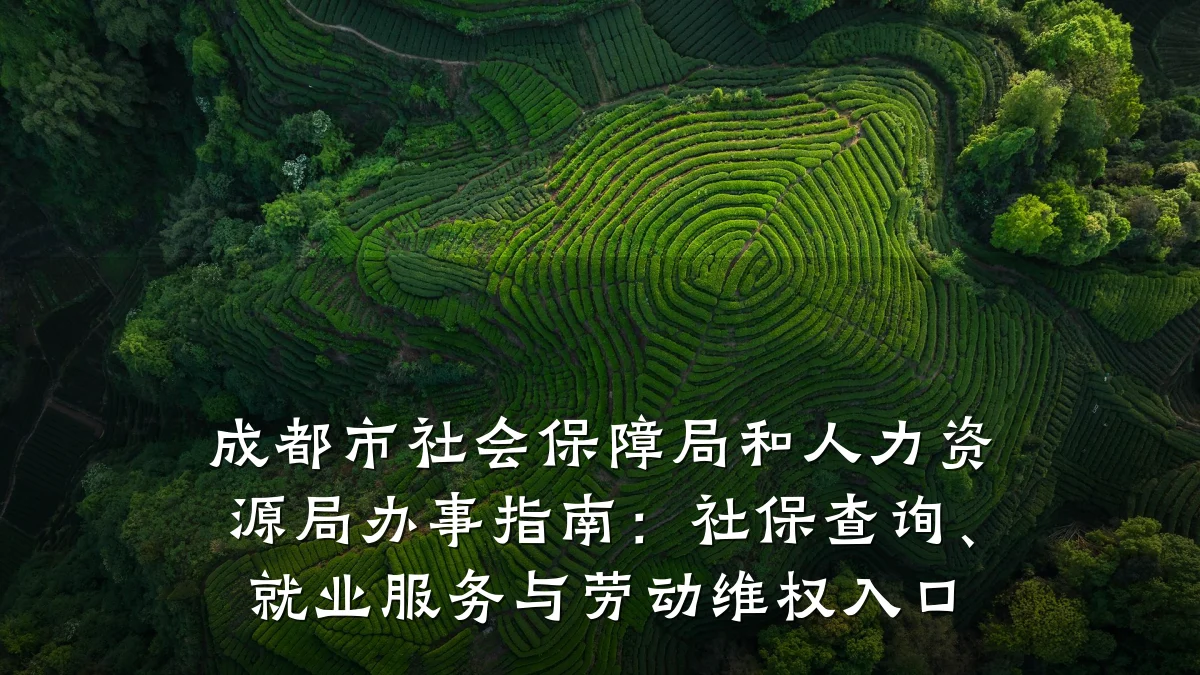 成都市社会保障局和人力资源局办事指南:社保查询、就业服务与劳动维权入口