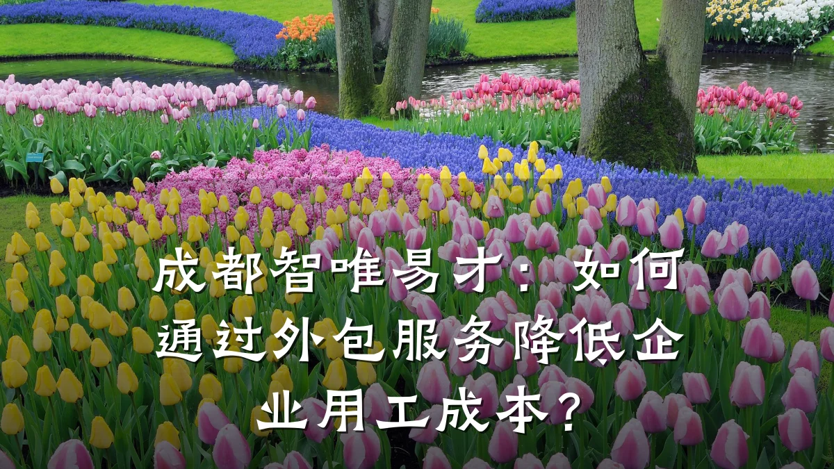 成都智唯易才：如何通过外包服务降低企业用工成本？
