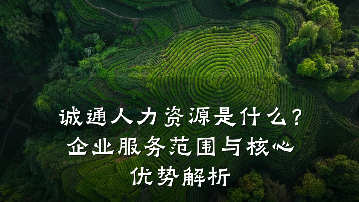 诚通人力资源是什么?企业服务范围与核心优势解析
