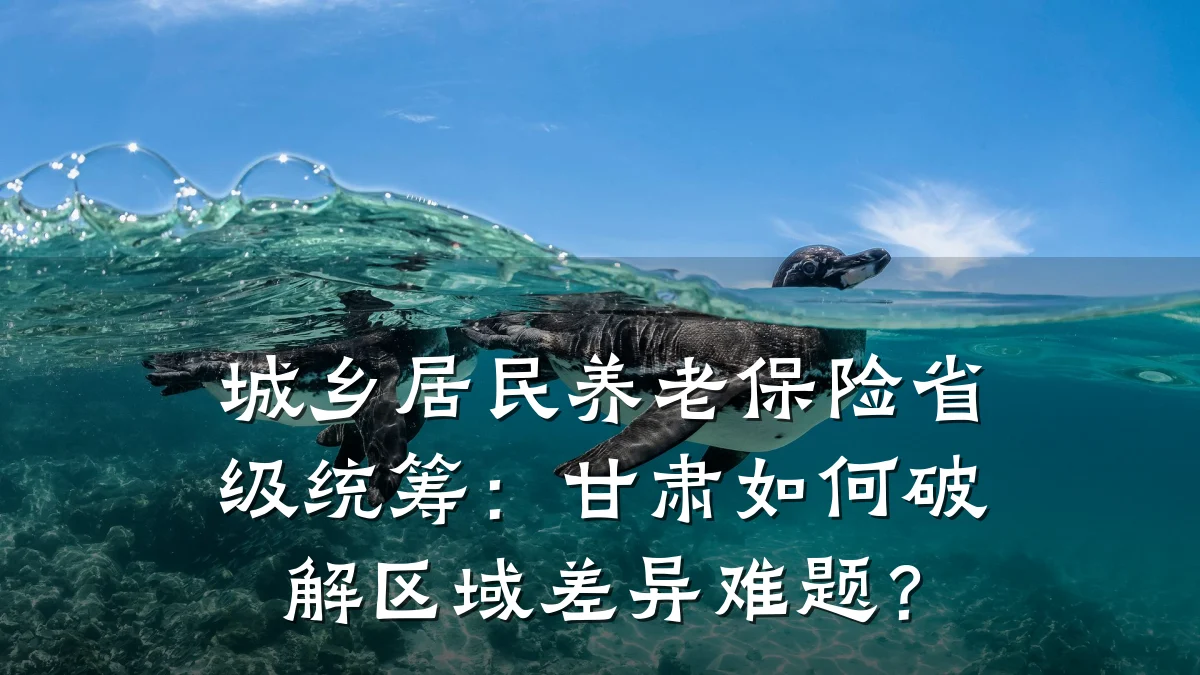 城乡居民养老保险省级统筹:甘肃如何破解区域差异难题?