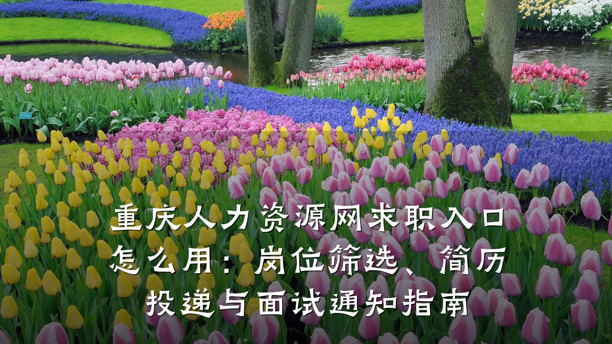 重庆人力资源网求职入口怎么用:岗位筛选、简历投递与面试通知指南