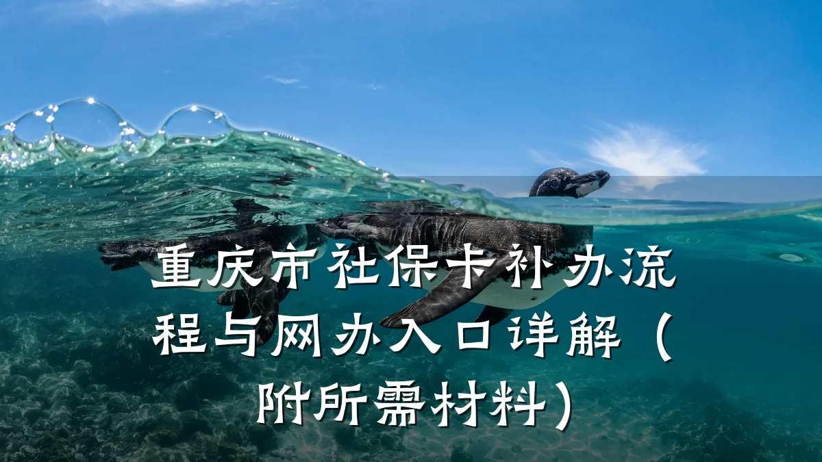重庆市社保卡补办流程与网办入口详解（附所需材料）