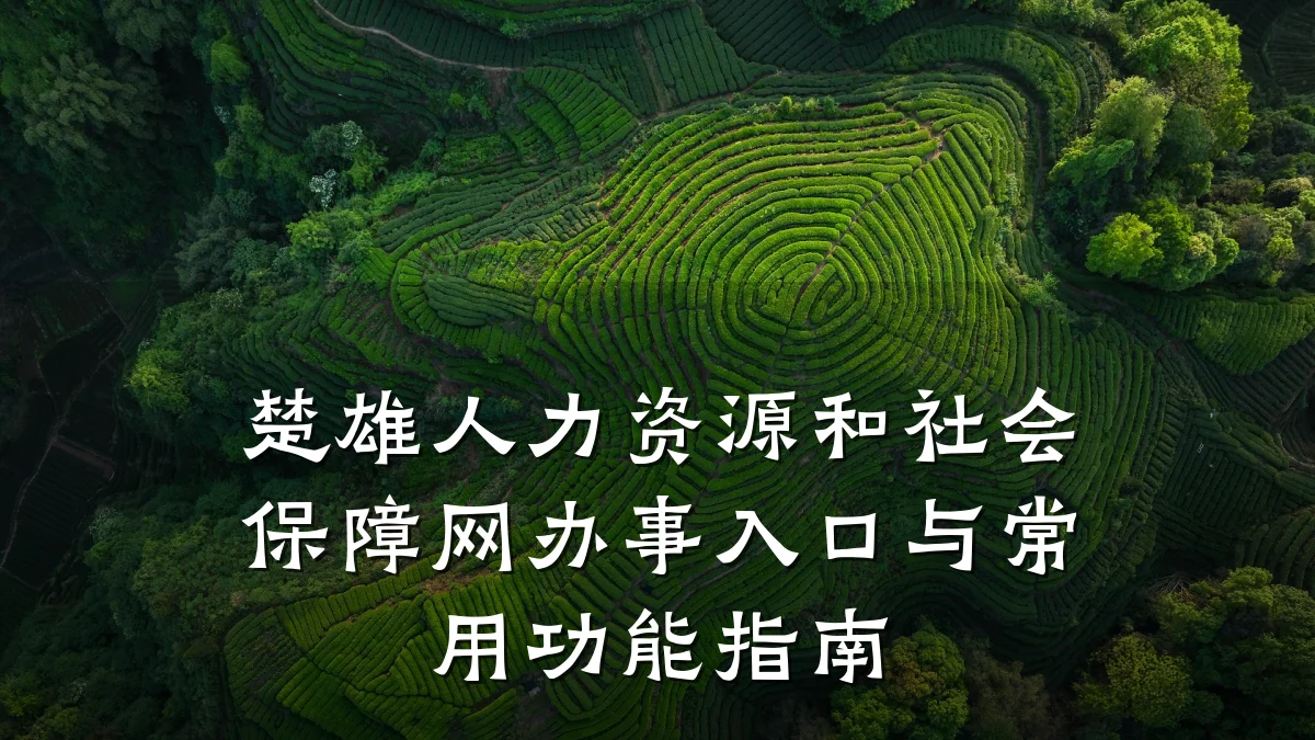楚雄人力资源和社会保障网办事入口与常用功能指南