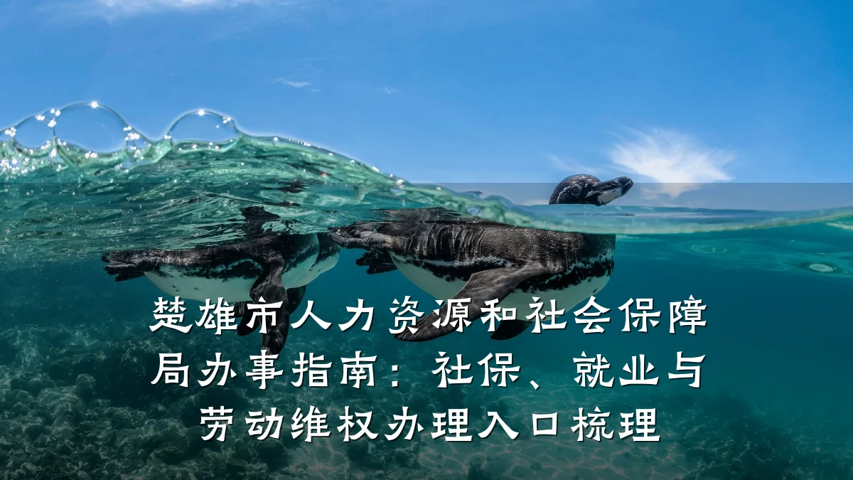 楚雄市人力资源和社会保障局办事指南：社保、就业与劳动维权办理入口梳理