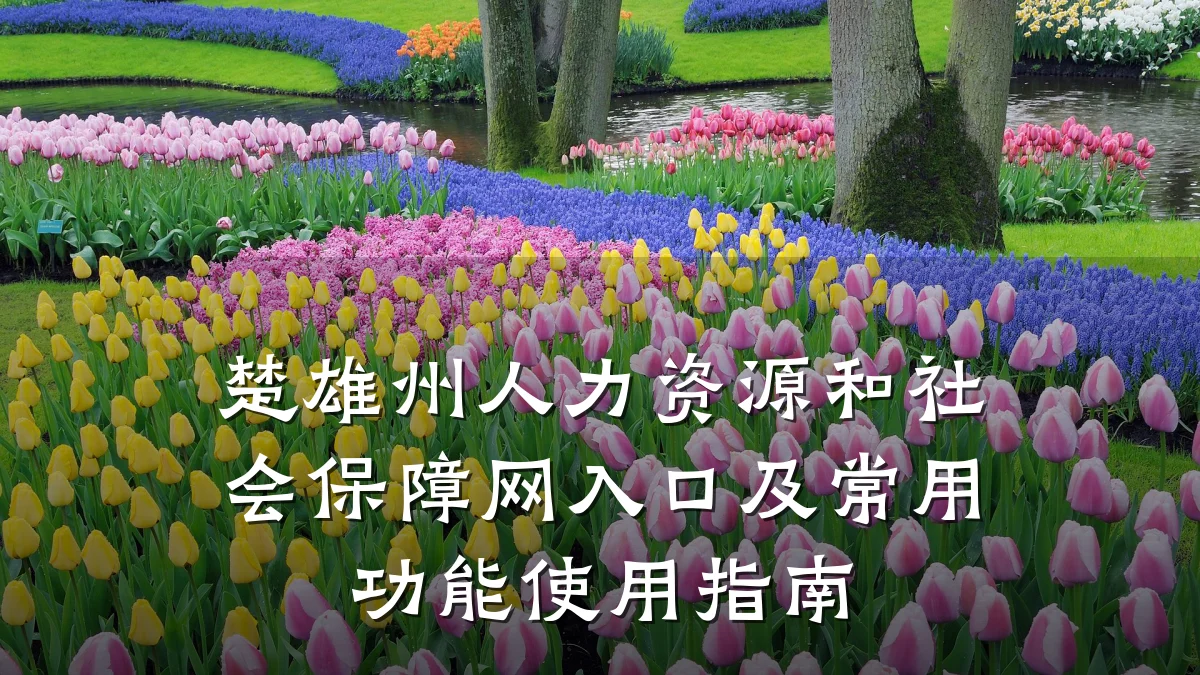 楚雄州人力资源和社会保障网入口及常用功能使用指南