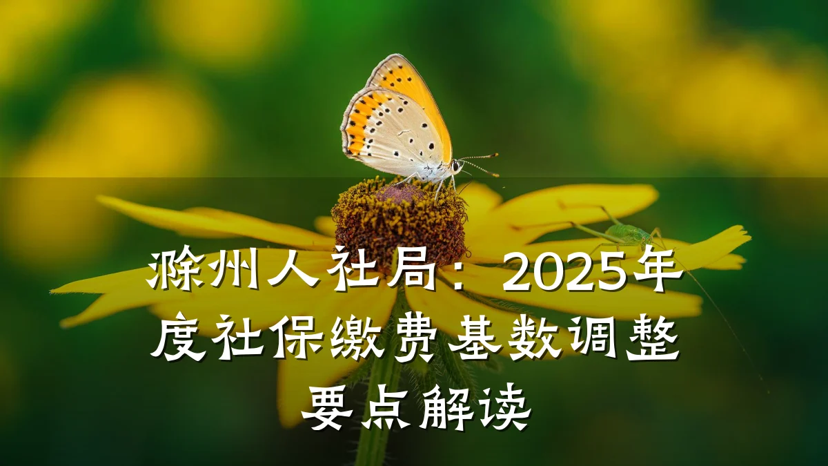 滁州人社局：2025年度社保缴费基数调整要点解读