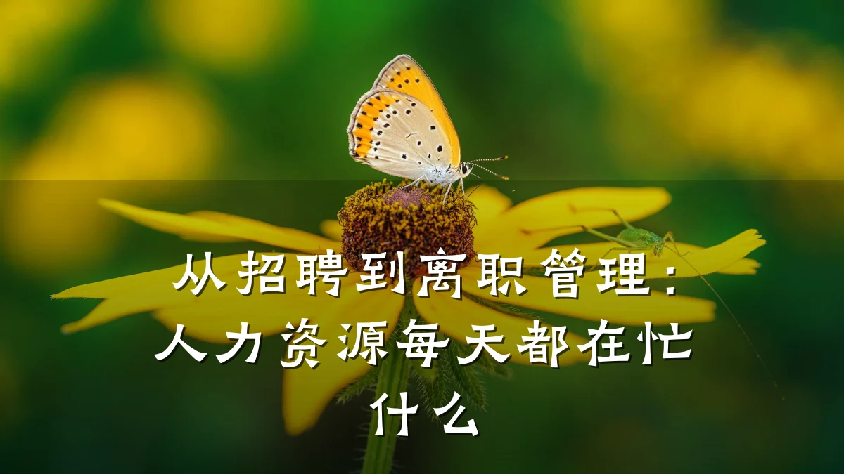 从招聘到离职管理:人力资源每天都在忙什么