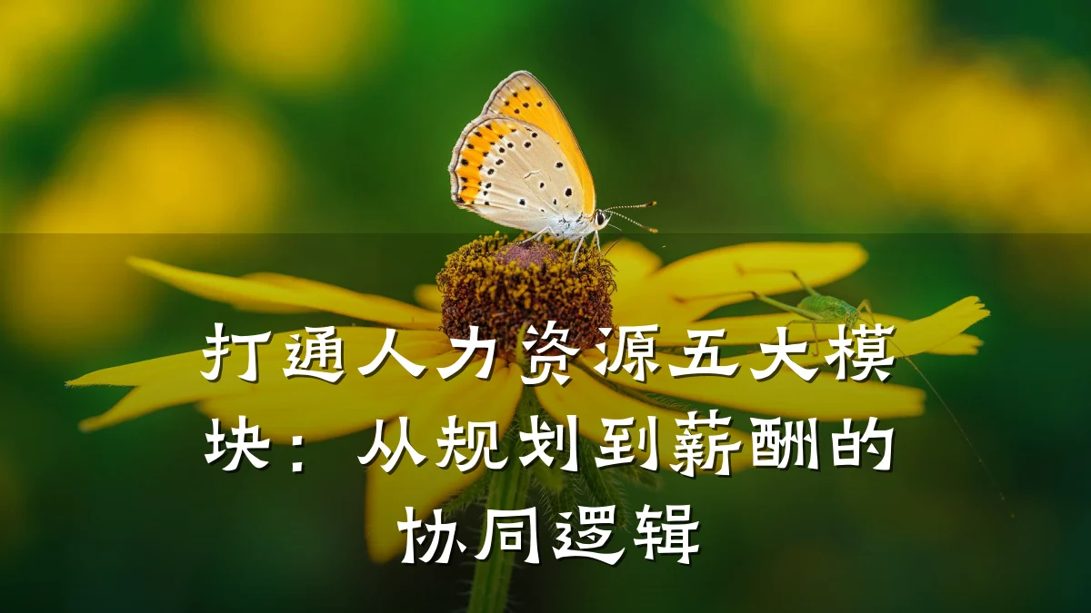 打通人力资源五大模块:从规划到薪酬的协同逻辑