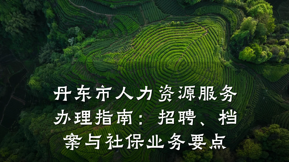 丹东市人力资源服务办理指南：招聘、档案与社保业务要点