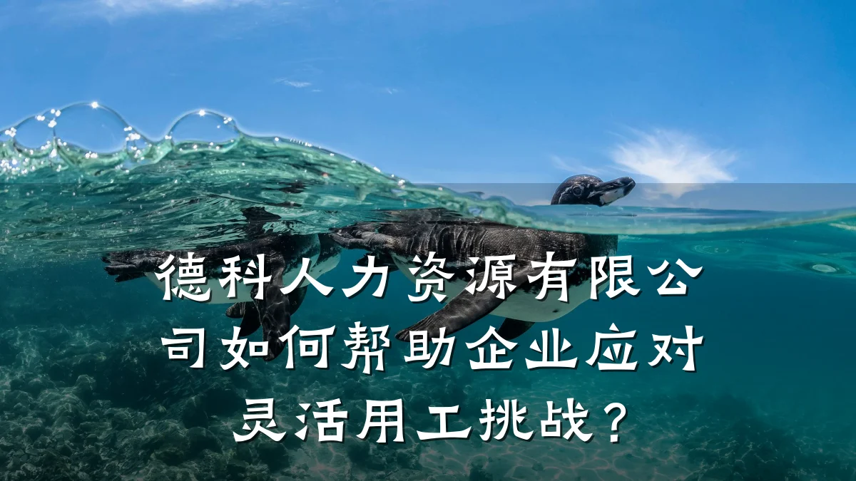 德科人力资源有限公司如何帮助企业应对灵活用工挑战?