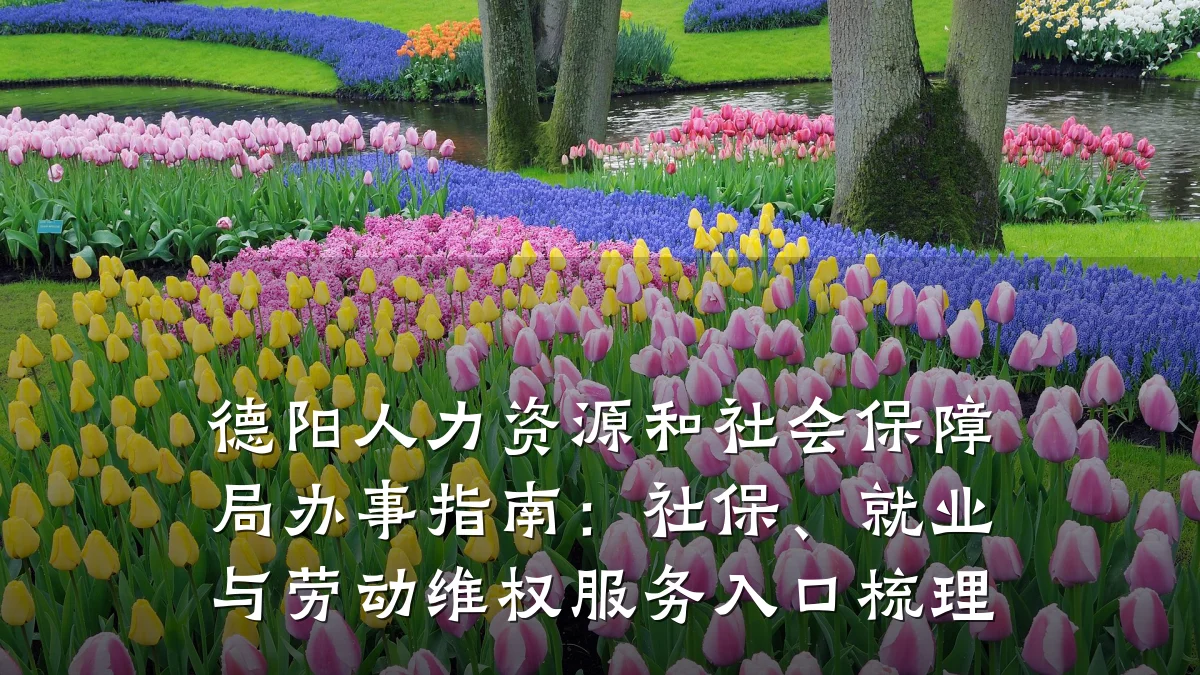 德阳人力资源和社会保障局办事指南：社保、就业与劳动维权服务入口梳理