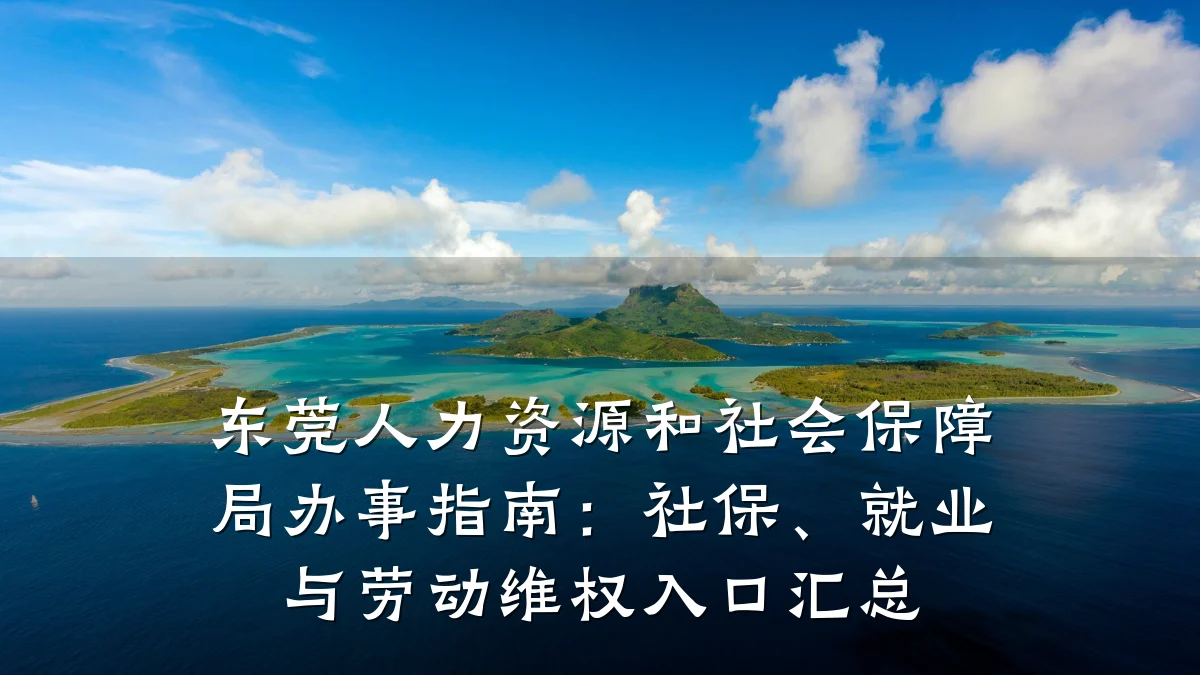 东莞人力资源和社会保障局办事指南：社保、就业与劳动维权入口汇总