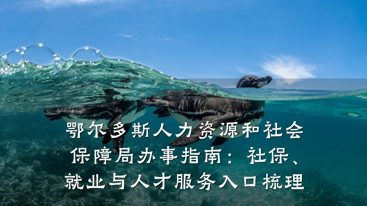 鄂尔多斯人力资源和社会保障局办事指南：社保、就业与人才服务入口梳理