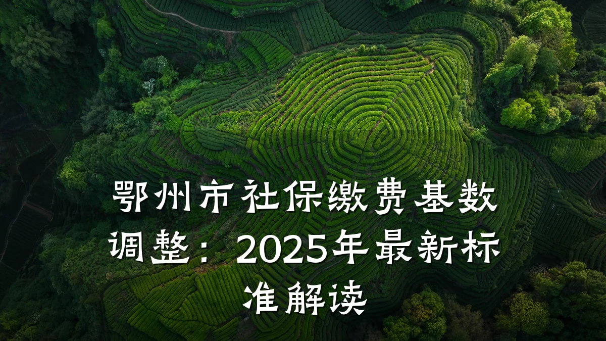 鄂州市社保缴费基数调整：2025年最新标准解读