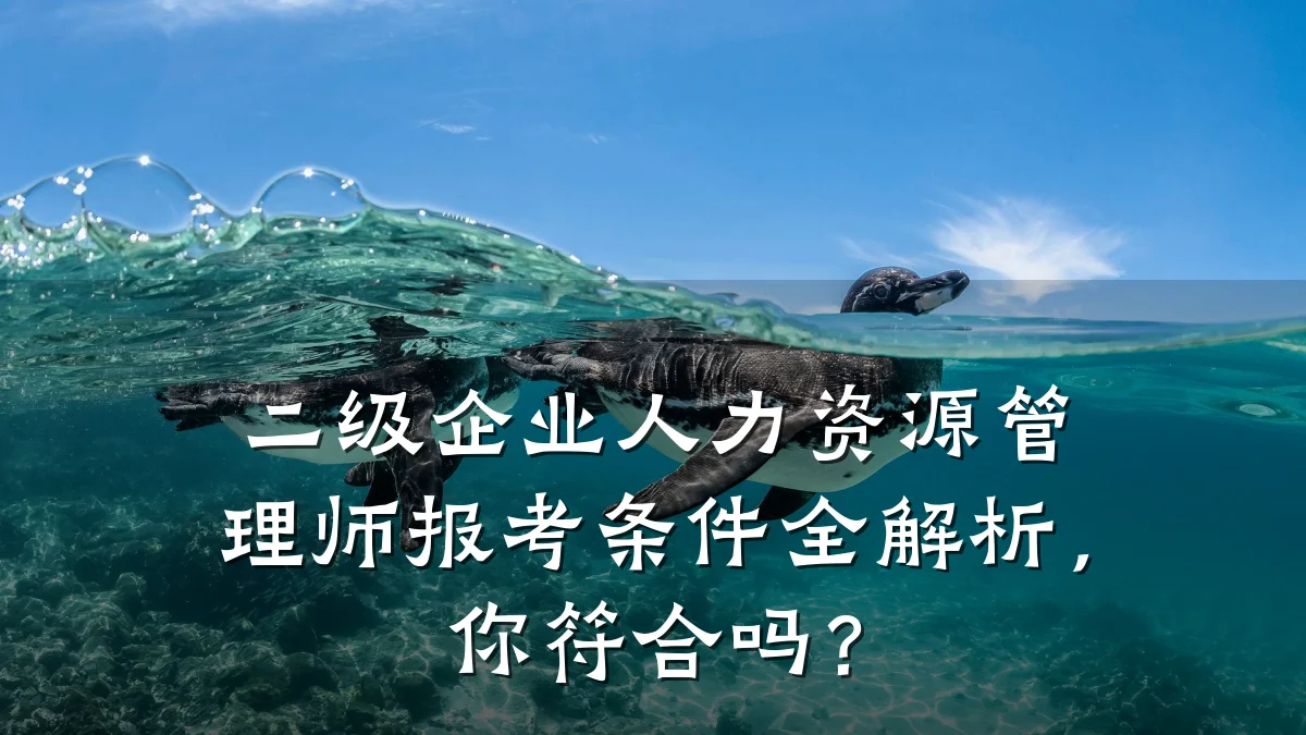 二级企业人力资源管理师报考条件全解析,你符合吗?