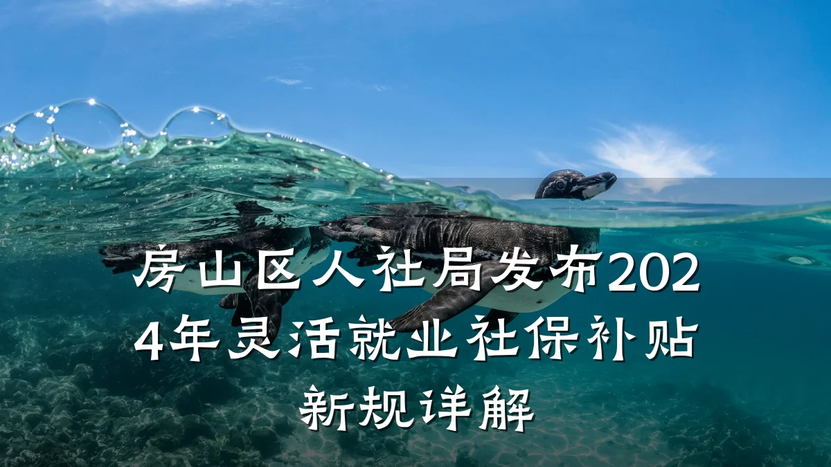房山区人社局发布2024年灵活就业社保补贴新规详解