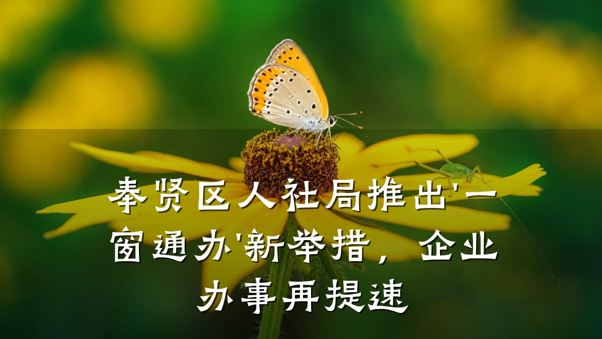 奉贤区人社局推出'一窗通办'新举措，企业办事再提速