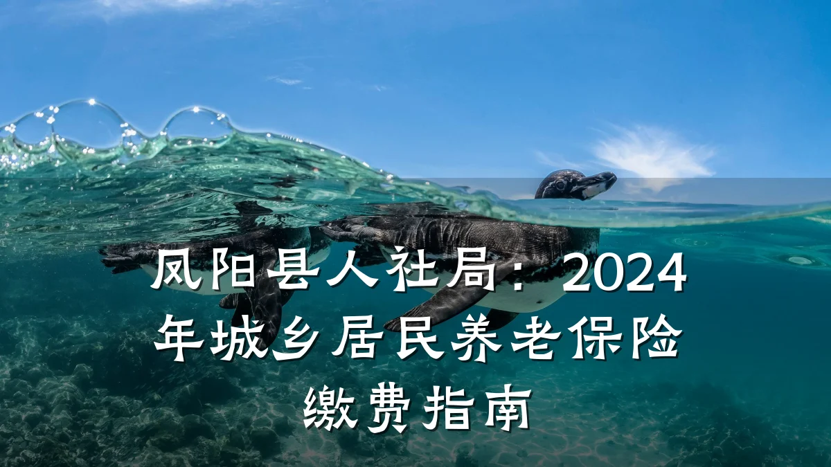 凤阳县人社局:2024年城乡居民养老保险缴费指南