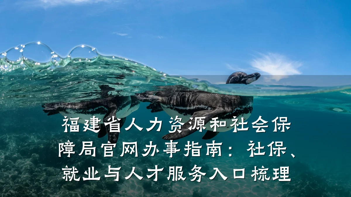 福建省人力资源和社会保障局官网办事指南：社保、就业与人才服务入口梳理