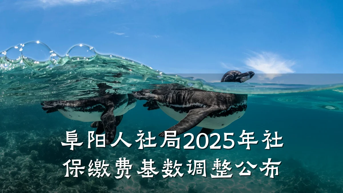 阜阳人社局2025年社保缴费基数调整公布