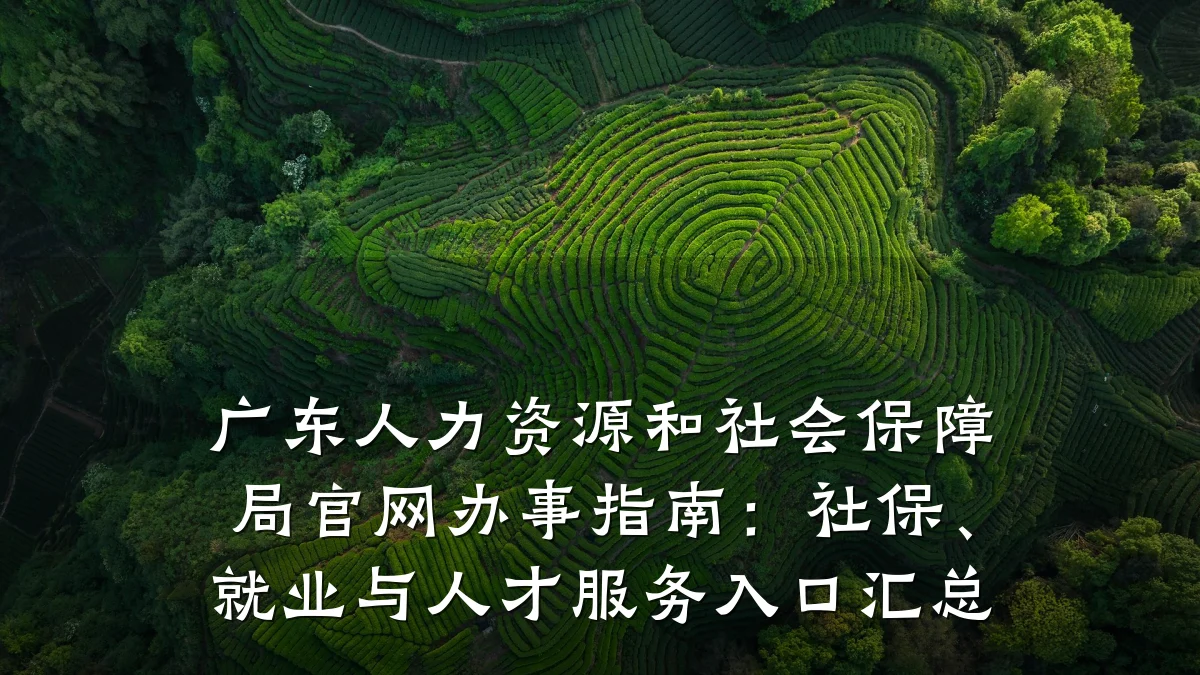 广东人力资源和社会保障局官网办事指南:社保、就业与人才服务入口汇总