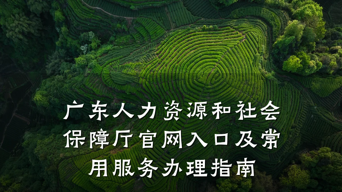 广东人力资源和社会保障厅官网入口及常用服务办理指南