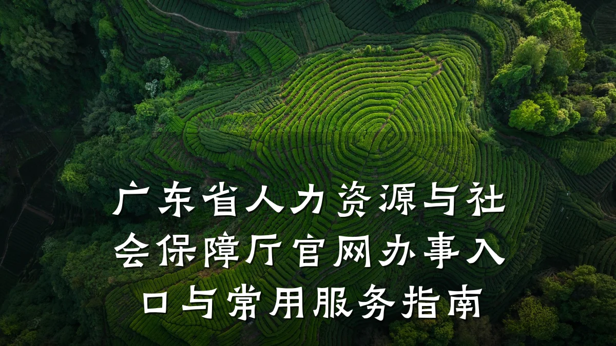 广东省人力资源与社会保障厅官网办事入口与常用服务指南