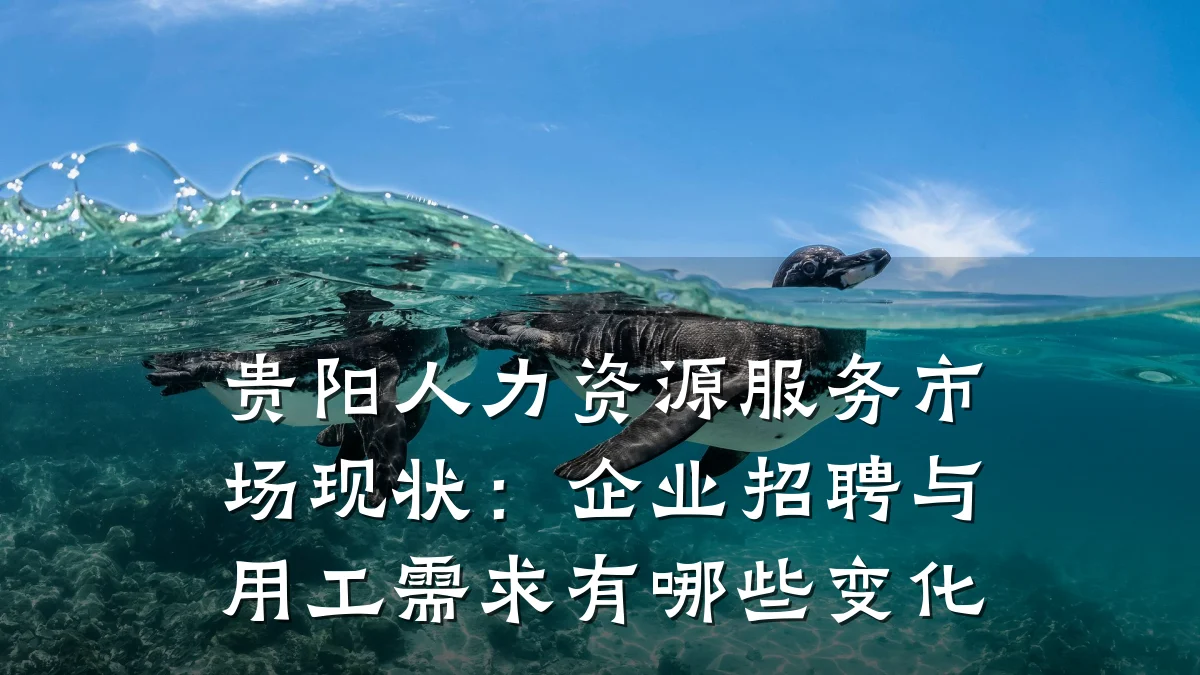 贵阳人力资源服务市场现状:企业招聘与用工需求有哪些变化