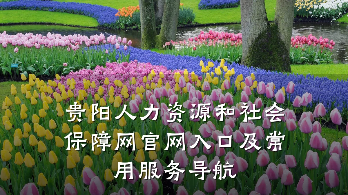 贵阳人力资源和社会保障网官网入口及常用服务导航