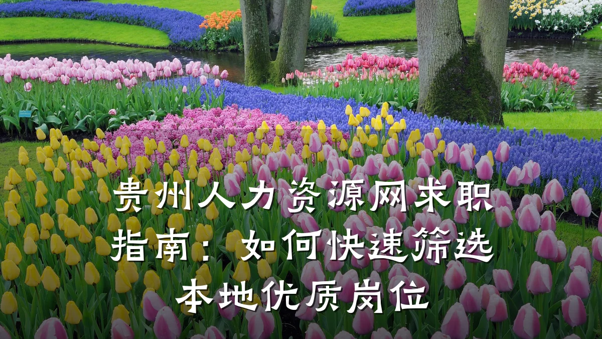 贵州人力资源网求职指南:如何快速筛选本地优质岗位