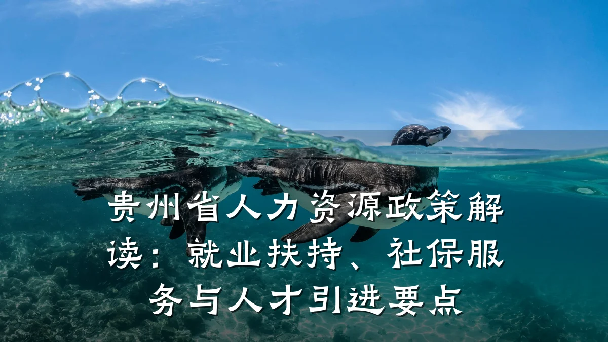 贵州省人力资源政策解读:就业扶持、社保服务与人才引进要点