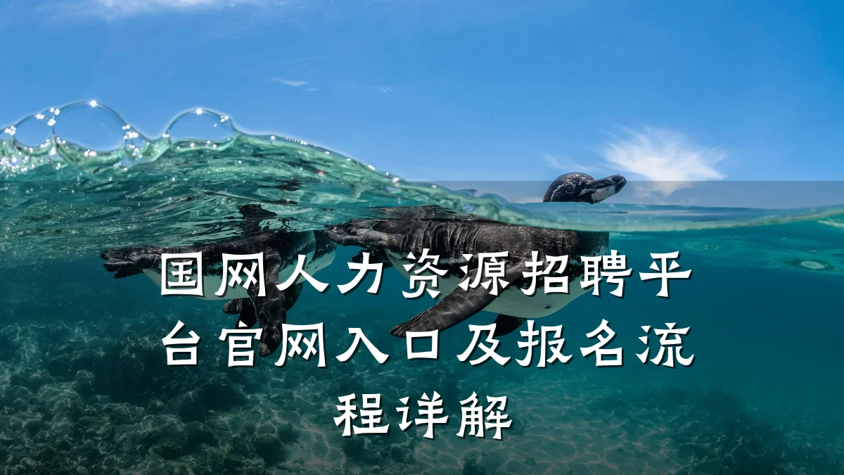国网人力资源招聘平台官网入口及报名流程详解