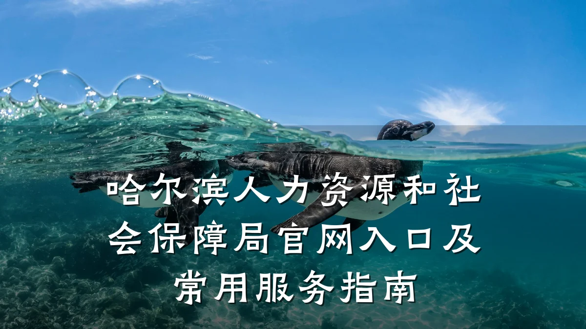 哈尔滨人力资源和社会保障局官网入口及常用服务指南