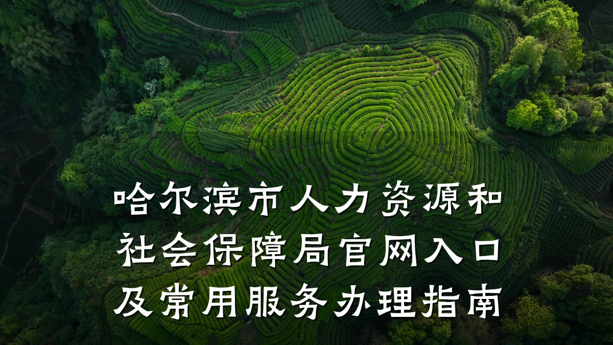哈尔滨市人力资源和社会保障局官网入口及常用服务办理指南