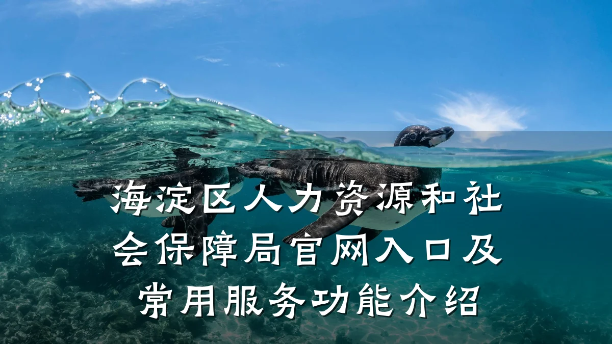 海淀区人力资源和社会保障局官网入口及常用服务功能介绍