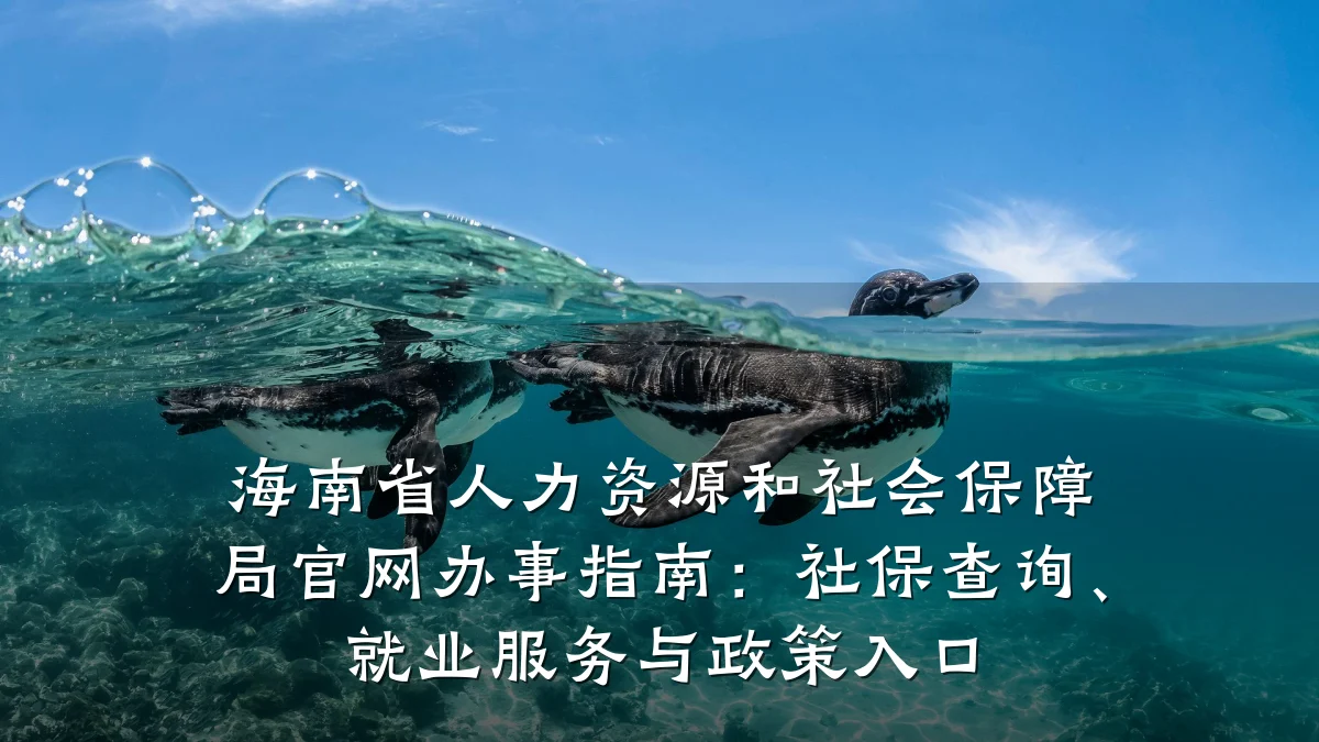 海南省人力资源和社会保障局官网办事指南:社保查询、就业服务与政策入口