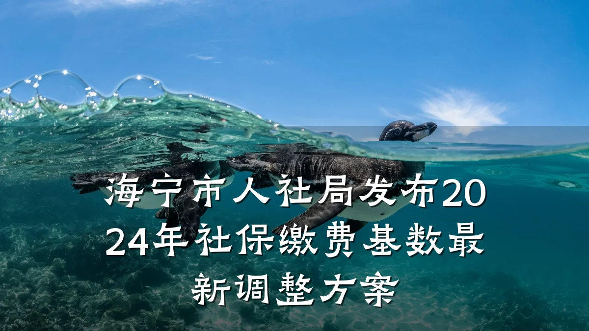 海宁市人社局发布2024年社保缴费基数最新调整方案