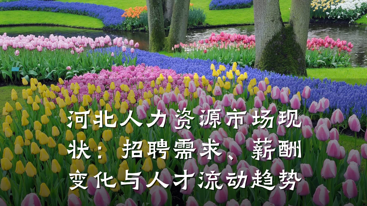 河北人力资源市场现状:招聘需求、薪酬变化与人才流动趋势