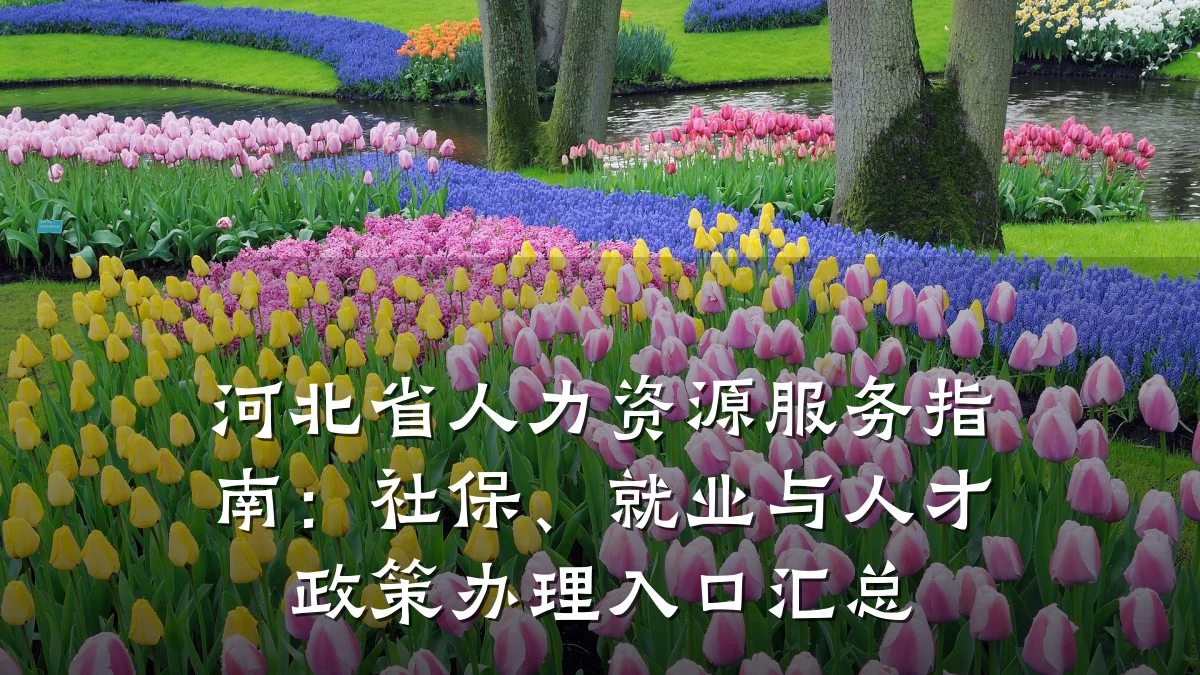 河北省人力资源服务指南：社保、就业与人才政策办理入口汇总