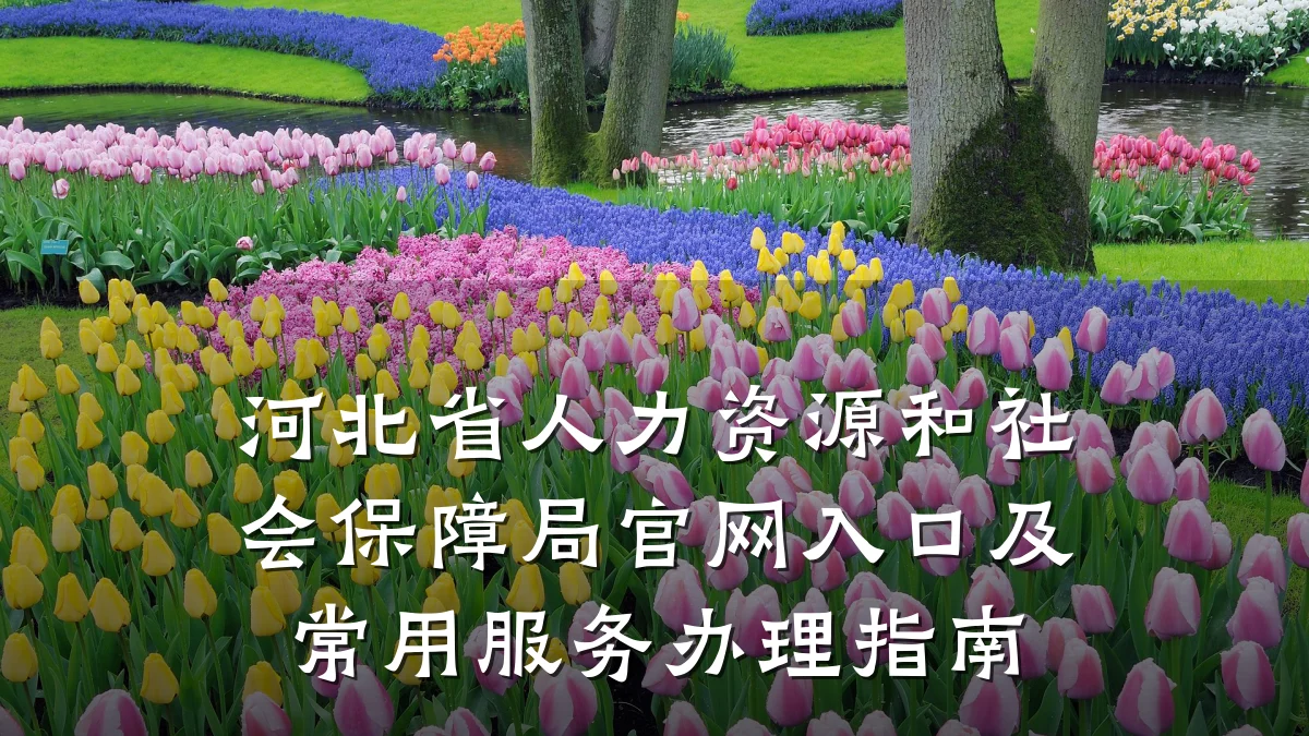 河北省人力资源和社会保障局官网入口及常用服务办理指南