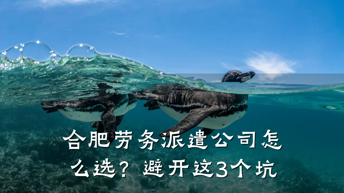 合肥劳务派遣公司怎么选?避开这3个坑