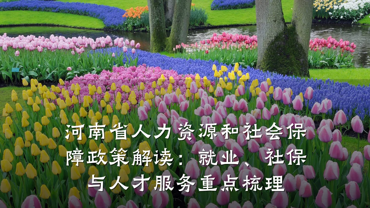 河南省人力资源和社会保障政策解读：就业、社保与人才服务重点梳理