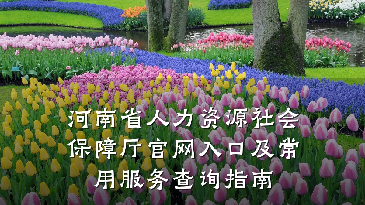 河南省人力资源社会保障厅官网入口及常用服务查询指南