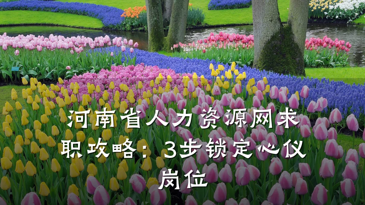 河南省人力资源网求职攻略：3步锁定心仪岗位